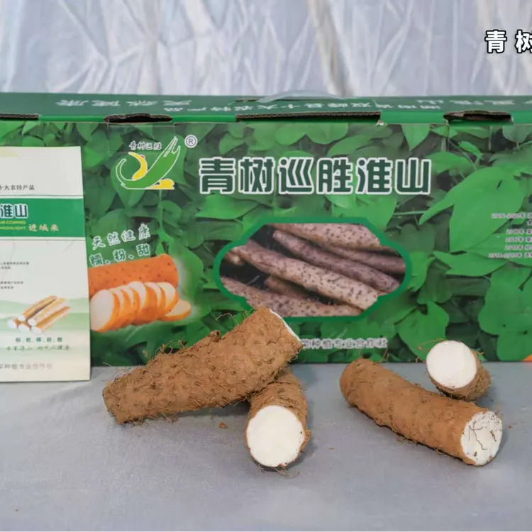 湖南双峰青树坪正宗淮山，地道风味，营养滋补之选