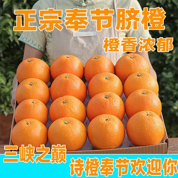 【三峡之巅】重庆奉节脐橙纽荷尔新鲜采摘产地直发皮薄多汁橙香十足