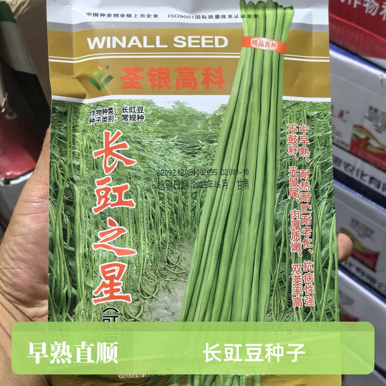 厚肉型长豇豆种籽中早熟耐高温高湿不落花双荚率高绿条直顺无鼠尾