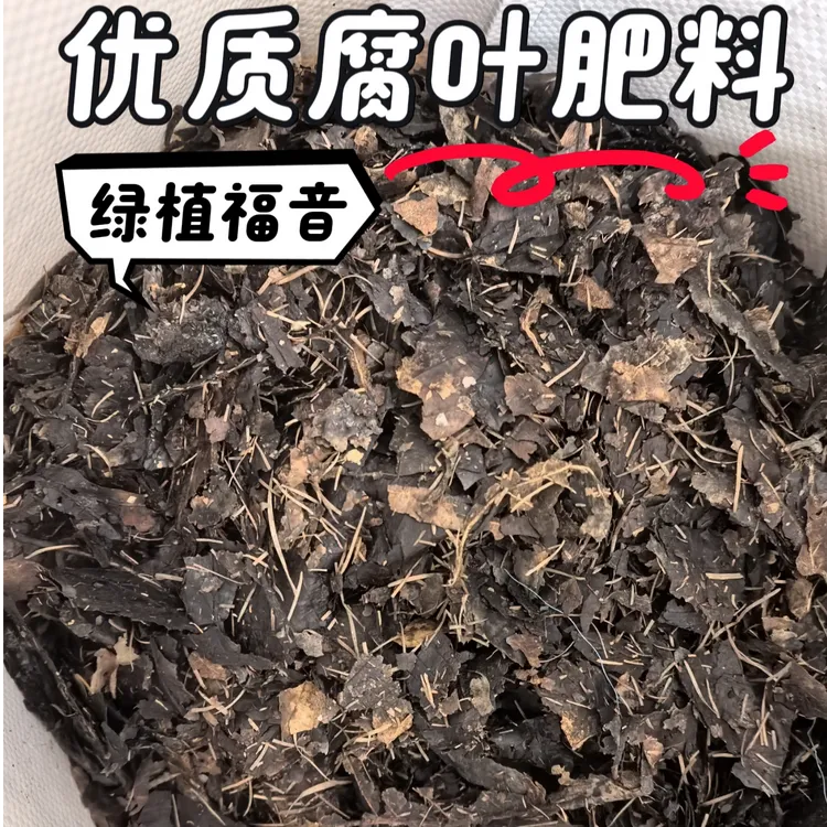 君子兰专业腐叶土长白山花土