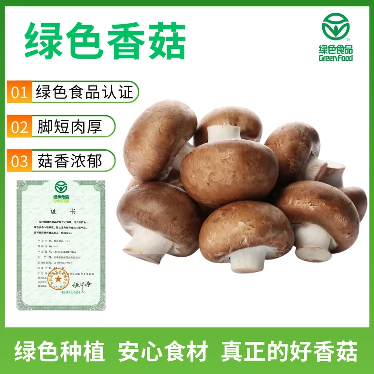 新鲜香菇蔬菜菌菇食用菌云南绿色蔬菜火锅食材现摘现发