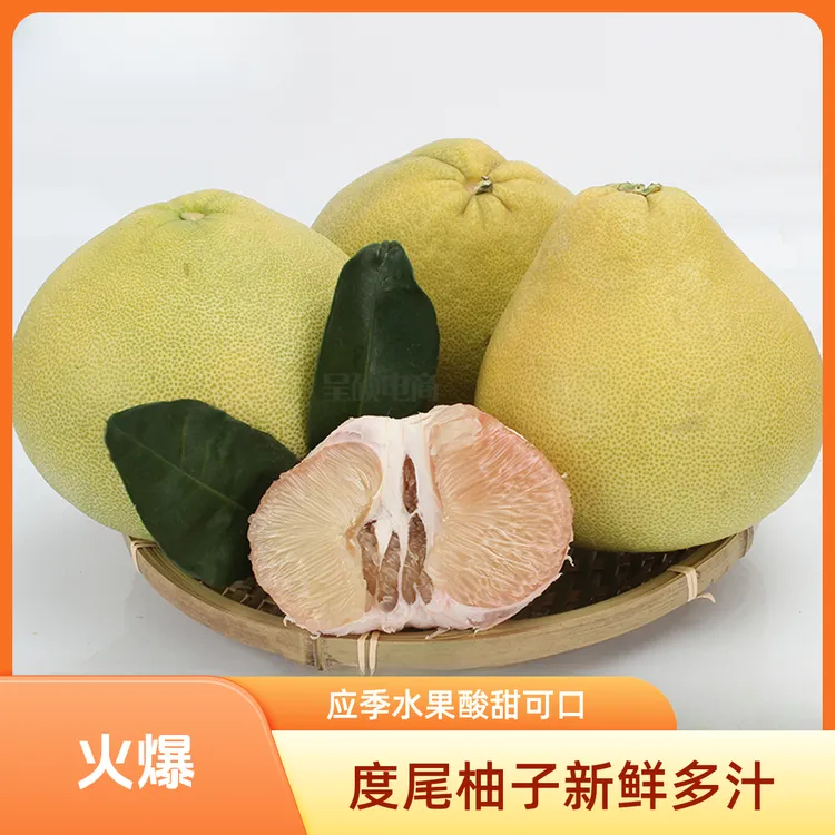 仙水洋[精品底部无孔果] 福建仙游度尾红心文旦柚新鲜应季水果2