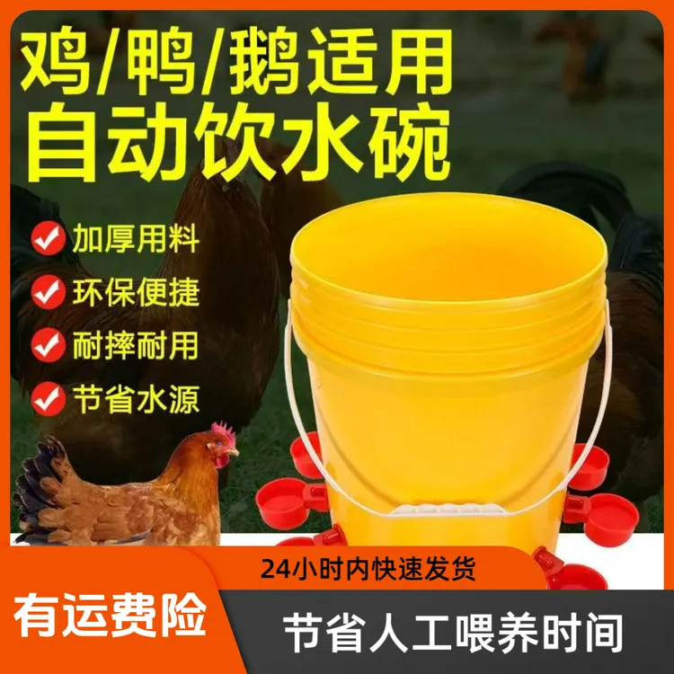 养鸡用喂鸡自动饮水器鸡鸭鹅饮水碗喝水碗鹌鹑鸟小鸡喂食神器养殖