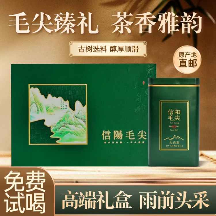 2025新信阳毛尖绿茶茶叶一级高档礼物送长辈礼盒装500g
