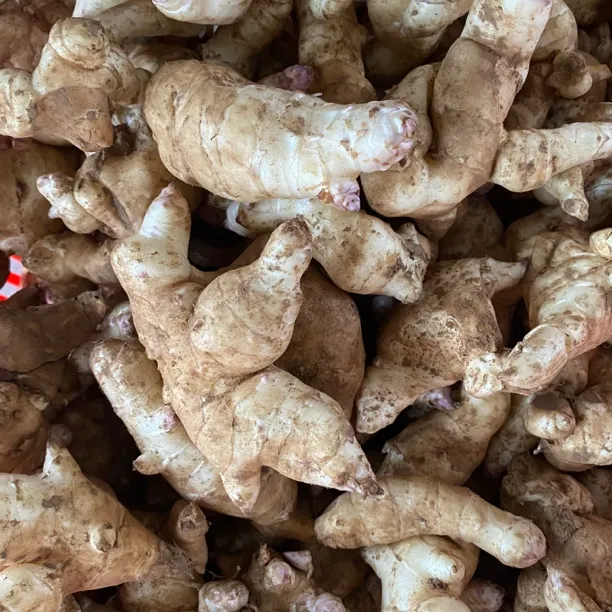 湖北荆州农家新鲜洋姜现挖现发坏包赔