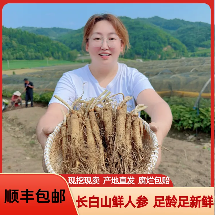长白山新鲜人参250克(15根左右)  煲汤泡水鲜参泡酒鲜参