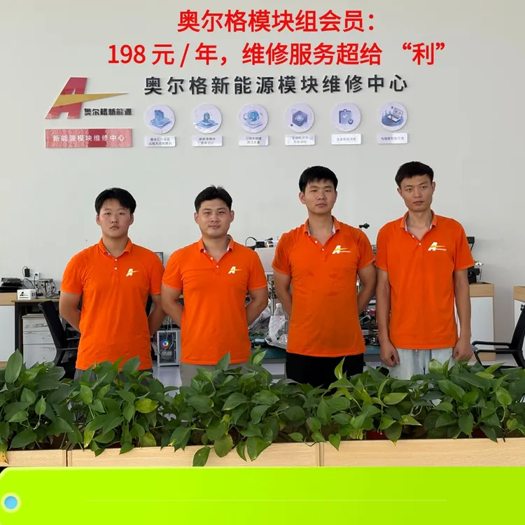 奥尔格模块组会员（包年198+CAN卡）
