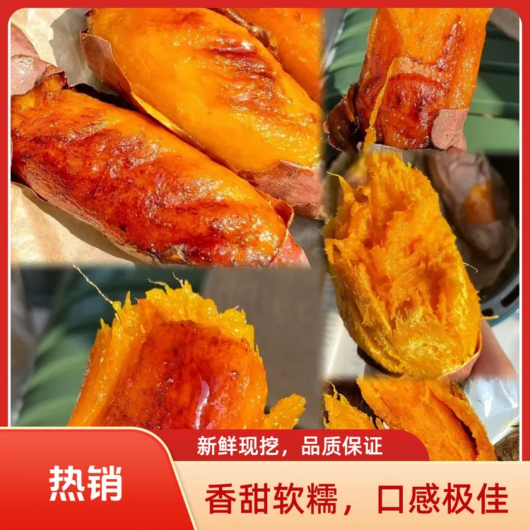 正宗黄心蜜薯新鲜现挖软糯香甜糖心流油的美味地瓜