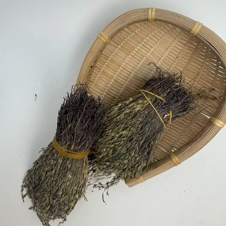 【月自明】野独脚金 自然晒干 包邮