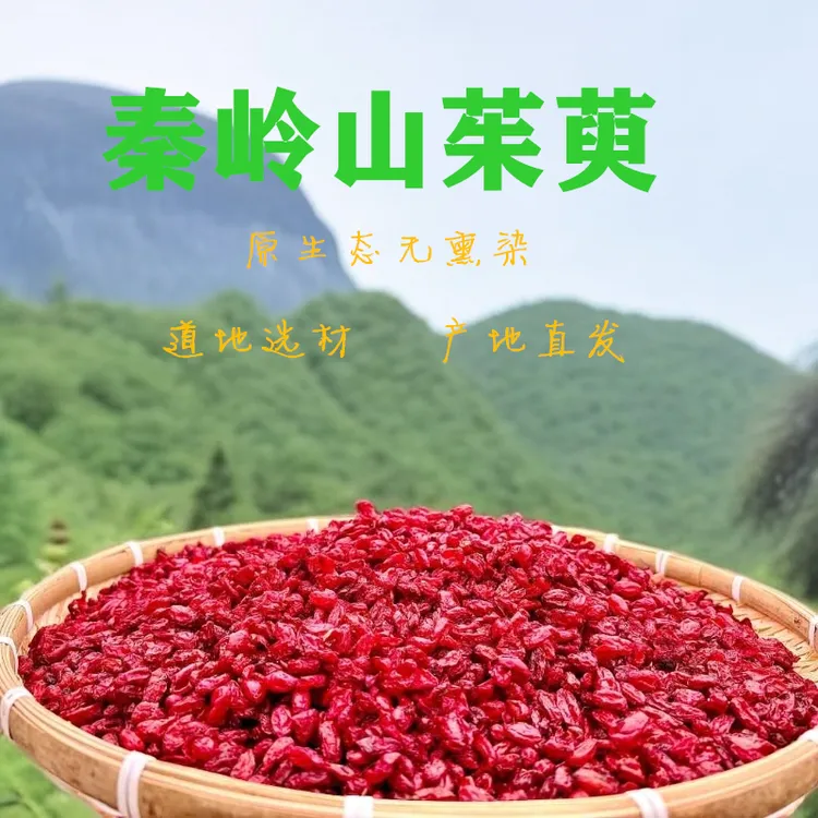 秦山臻选 秦岭深山去核山茱萸 山萸肉  原生态枣皮泡水泡酒煲汤