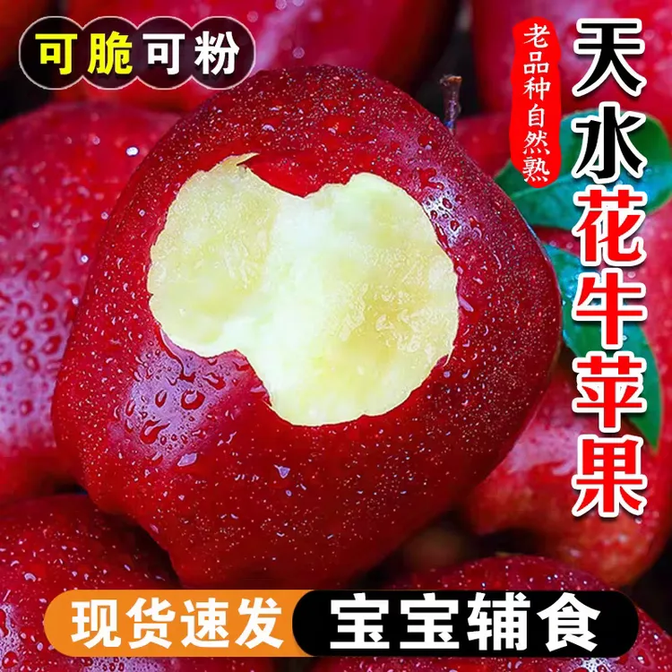 现摘现发甘肃花牛苹果5斤带箱应季新鲜水果包邮【秋季尝鲜】