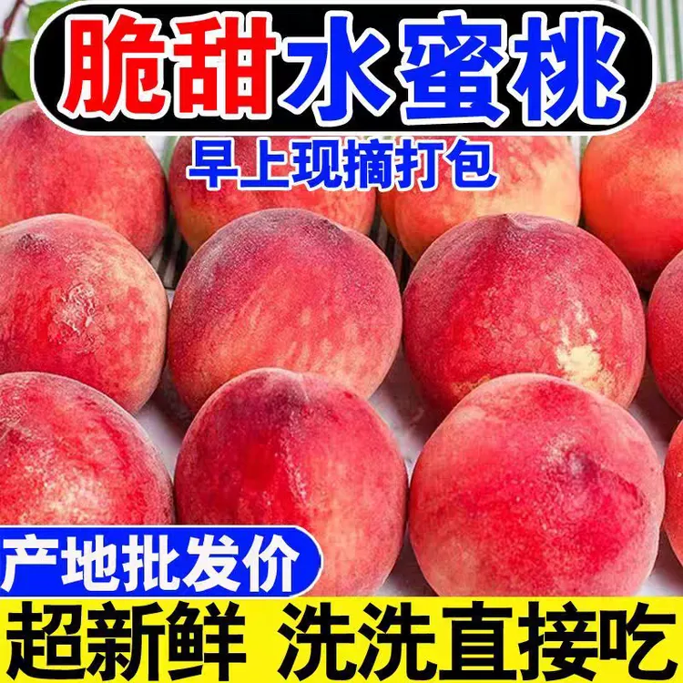 露天水蜜桃5斤山东潍坊水果新鲜当季脆甜特大果时令毛桃应季超甜