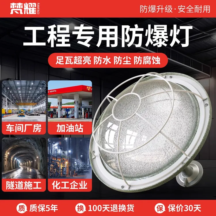 国标工业led防爆灯工厂车间仓库厂房加气加油站专用防水防尘照明