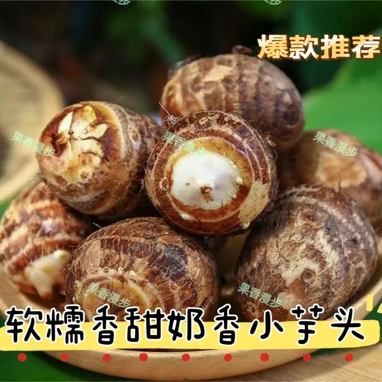 山东牛奶小芋头新鲜现挖粉糯香甜农家毛芋头4.5斤纯中球