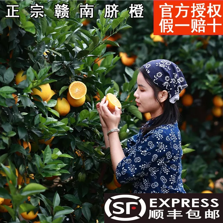 赣南脐橙现摘现发产地直发赣南脐橙 净重4/9斤装新鲜橙子顺丰快递