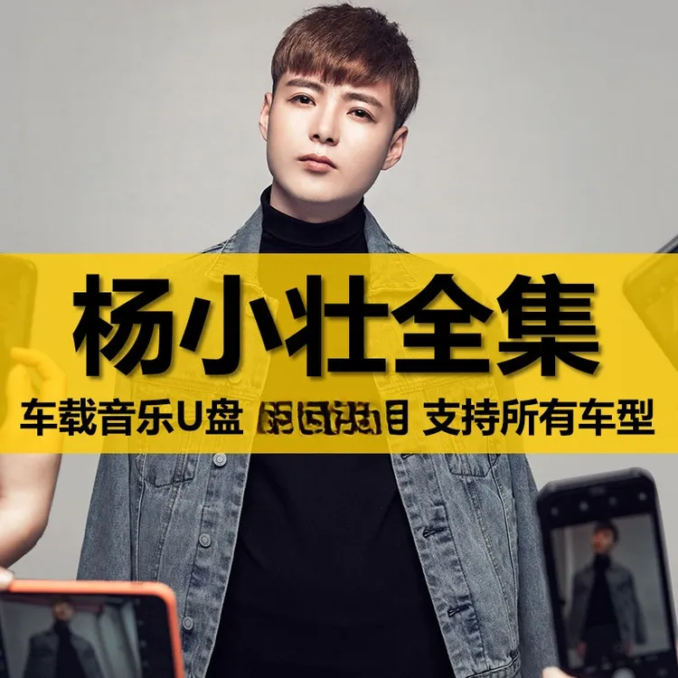 杨小壮U盘出道至今所有全集全部原声无损车载高品质车用音乐优盘