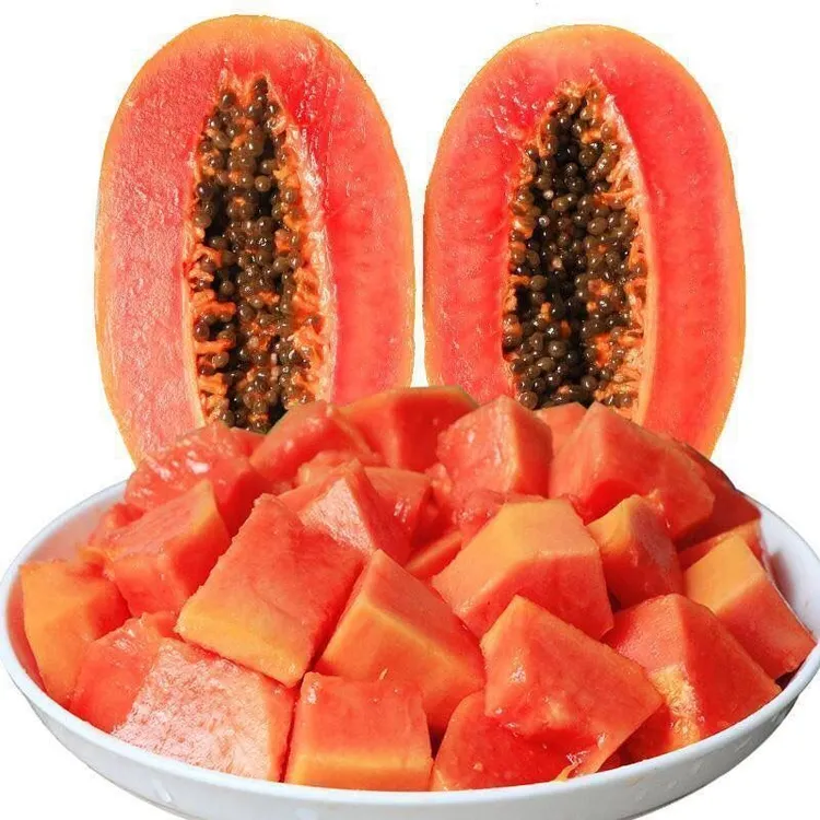 海南牛奶木瓜云南西双版纳红心木瓜树上自然熟冰糖心超甜低糖水果