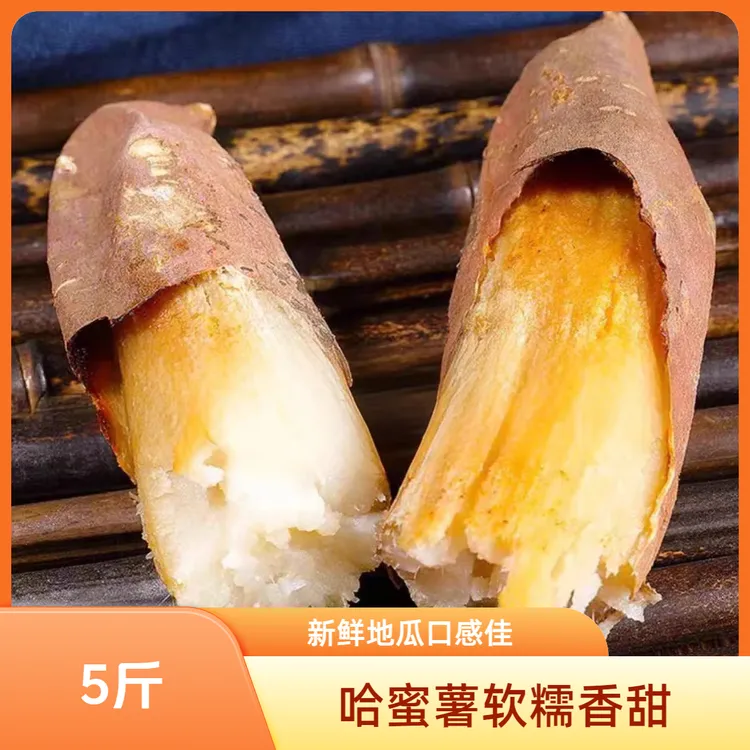 河南香甜软糯白心哈密蜜薯新鲜地瓜冰糖薯农家自种红薯番薯