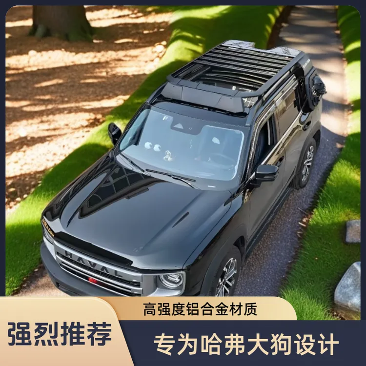 哈弗大狗加装卫士车顶平台哈弗大狗车顶行李架侧爬梯侧书包行李框