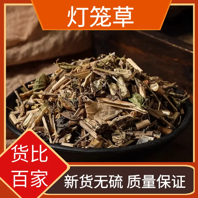 野生正品灯笼草打扑草天泡草挂金灯酸浆草黄灯笼生晒精选包邮叶菜