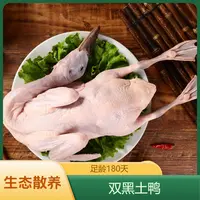 【双黑土鸭】生态放养180天老鸭 富含氨基酸和微量元素 不油不腥