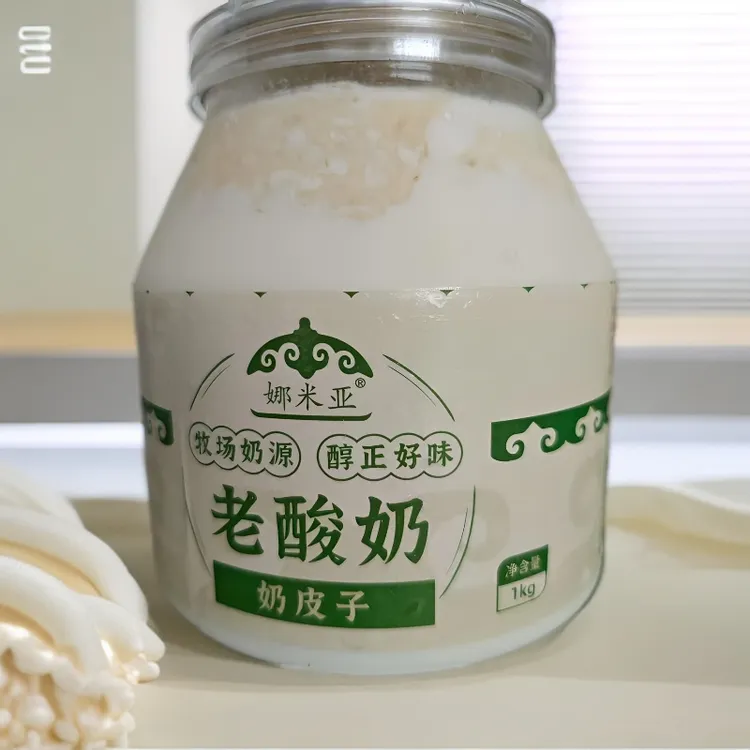 内蒙古特产奶皮子酸奶圆桶包装美味可口酸奶