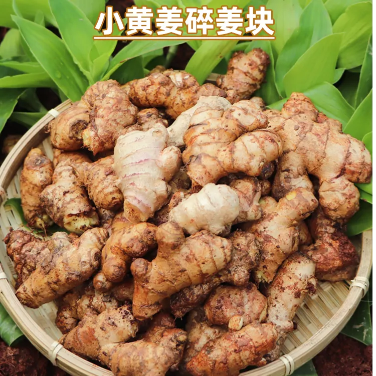 滇鲜生云南小黄姜小块姜农家自种辛辣味浓提鲜调味新鲜食材
