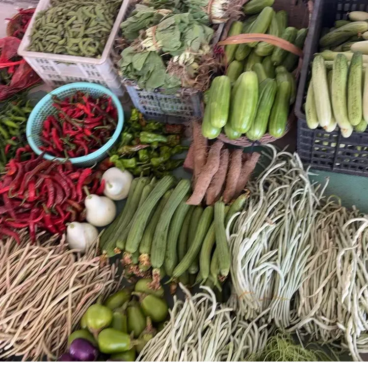 石牌露天种植蔬菜红茄子新鲜四季豆现采摘白茄子现发货辣椒组合装