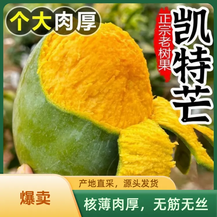 【放软食用】正宗四川攀枝花凯特芒果红头青皮当季整箱新鲜水果包邮