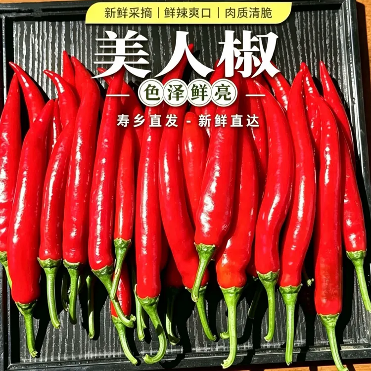【新鲜采摘】现摘现发 红美人椒 微辣辣椒 红辣椒 做泡椒剁椒辣椒酱