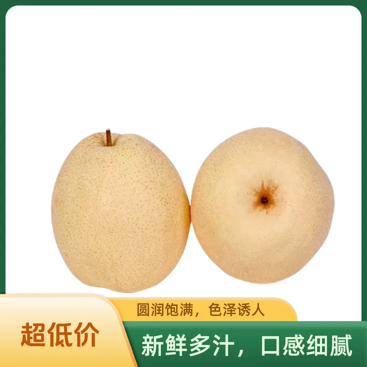 蒲城酥梨水润多汁新鲜水果贡梨原产地现发
