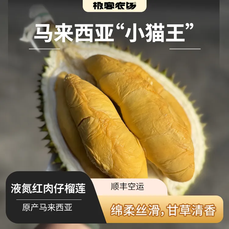 马来西亚液氮红肉仔榴莲 口感丰富绵密丝滑 甘草清香3.5斤顺丰