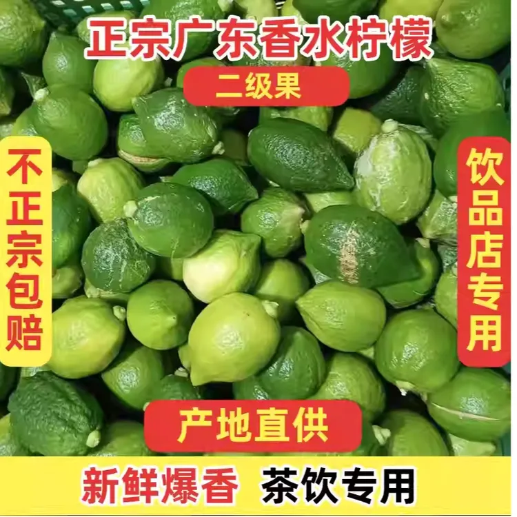 广东香水柠檬二级无籽新鲜采摘茶饮摊奶茶店商用