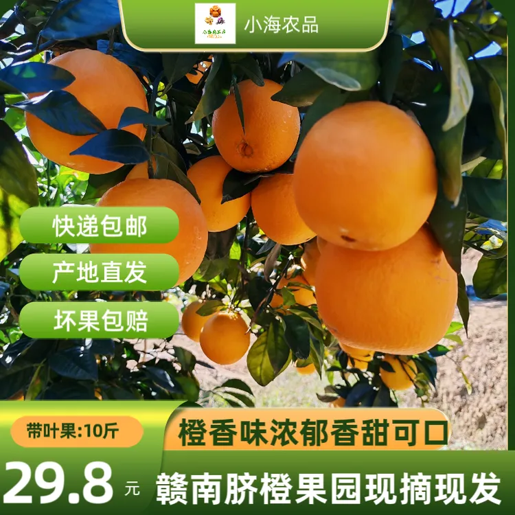 赣南脐橙赣南现摘爆甜脐橙皮薄肉厚香甜多汁新鲜应季水果