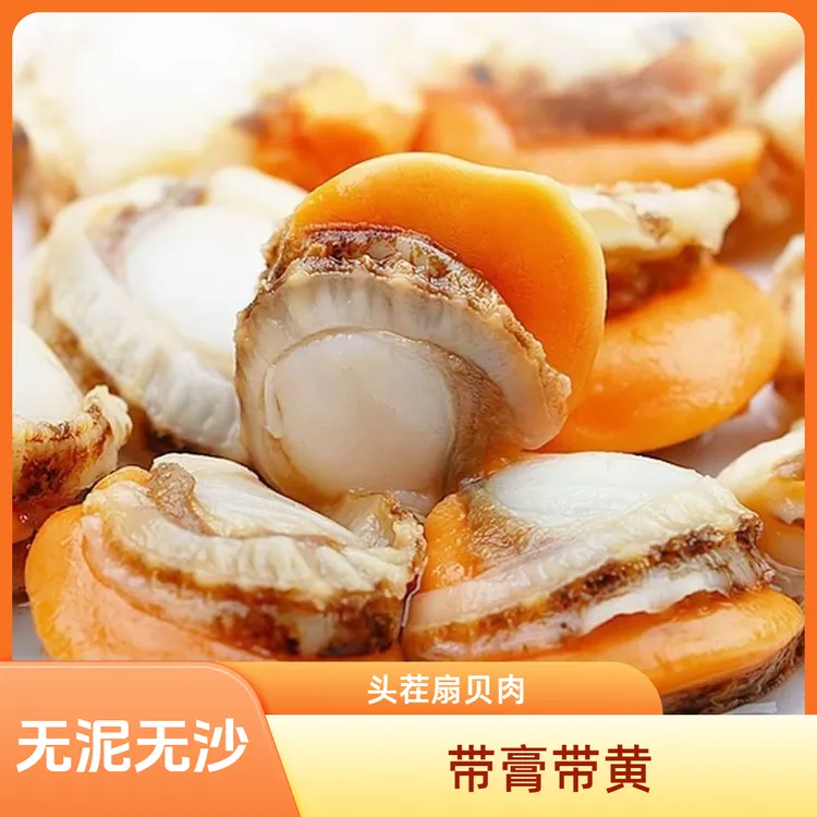 【大个扇贝肉】新鲜带黄带膏  无泥无沙  4斤  顺丰冷链