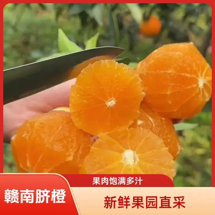 正宗赣南脐橙产地直发不催熟新鲜采摘当季水果水分充足江西橙