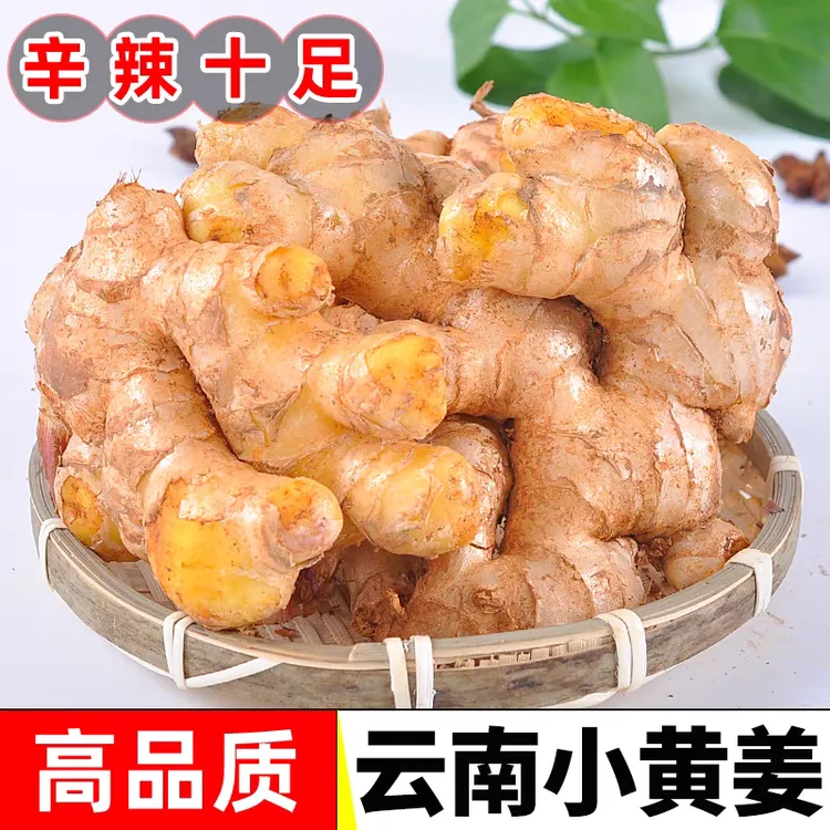 正宗云南新鲜小黄姜生姜老姜月子姜香味浓辣味足产地新鲜采挖直发
