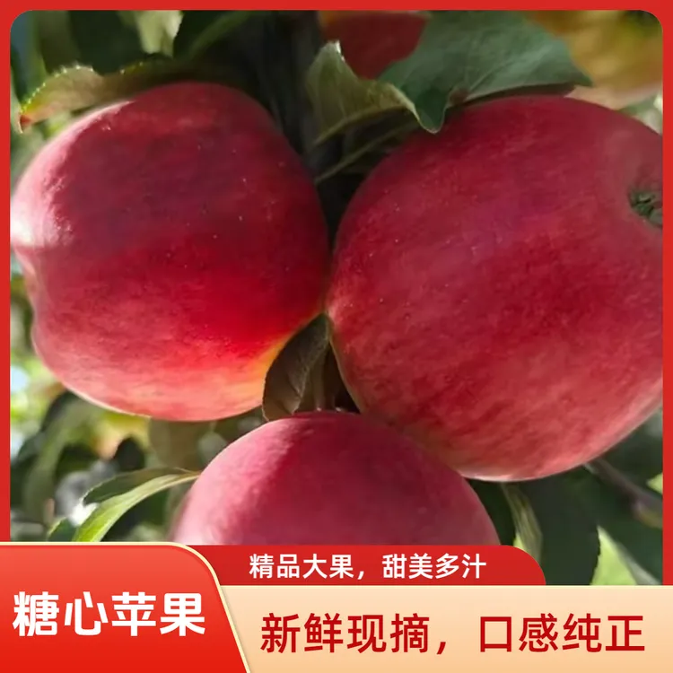 昭通新鲜苹果脆甜多汁营养丰富现摘现发（礼盒装）
