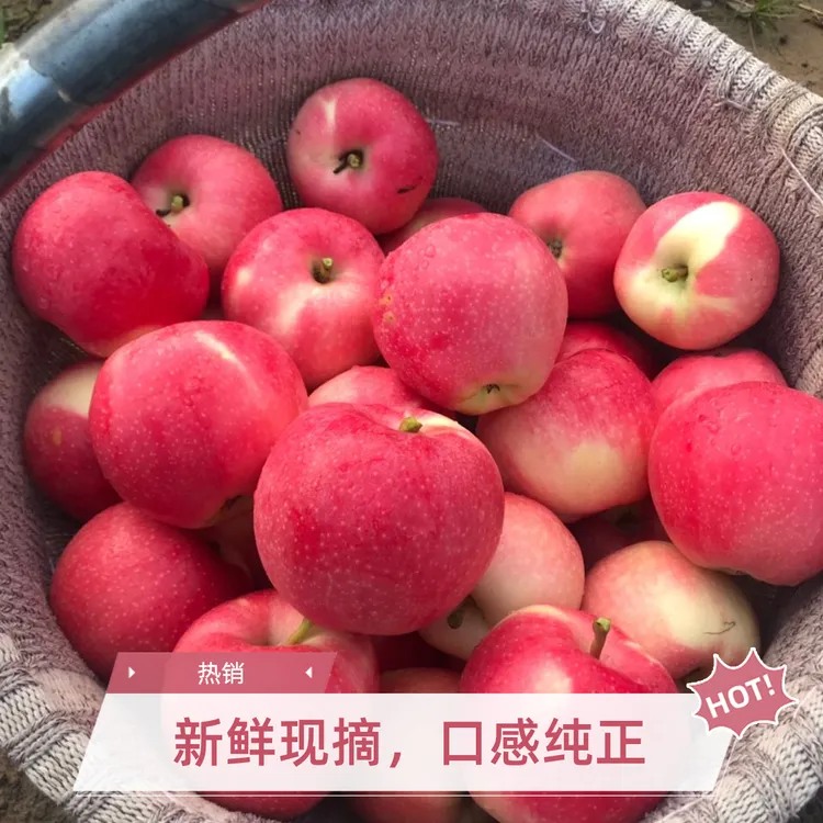 陕西延安洛川水晶嘎啦