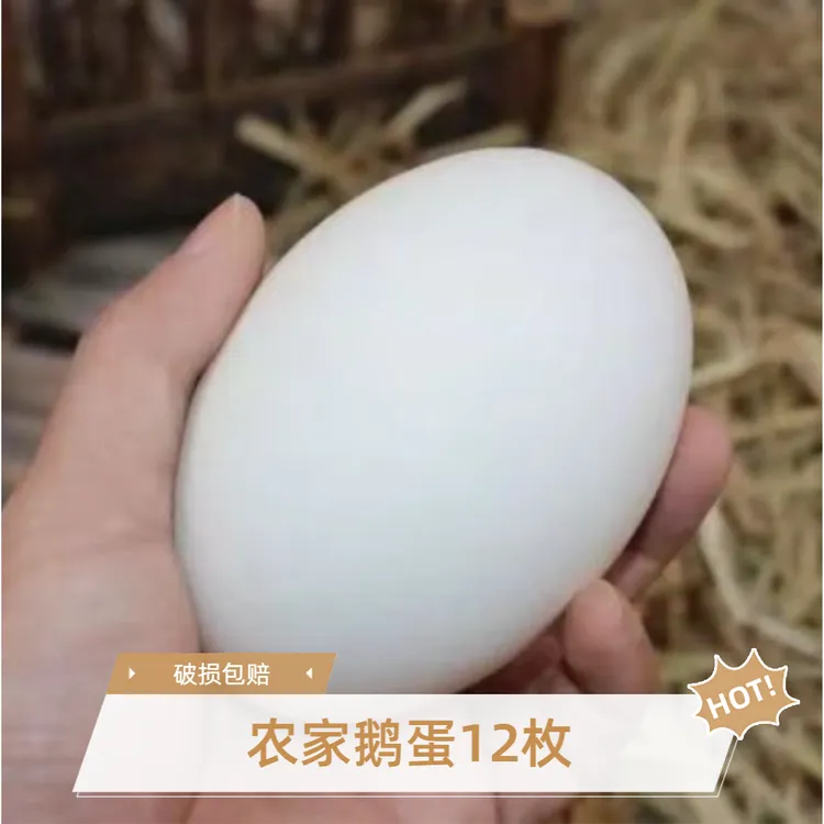 农家土鹅蛋拍6枚送6枚农家散养谷物新鲜鹅蛋破损包赔到手12个