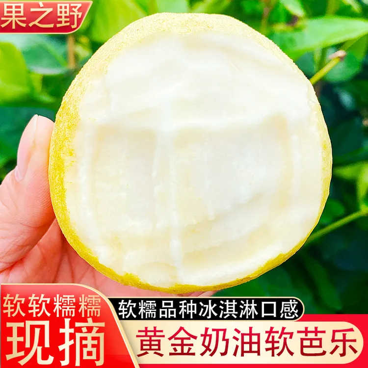 广西奶油白心芭乐番石榴软糯香甜新鲜水果赠送酸梅粉应季3-5斤