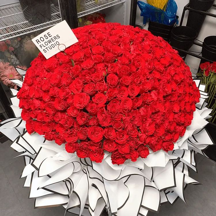 199朵365朵520朵九百九十九朵玫瑰花束鲜花订购同城配速送花上门