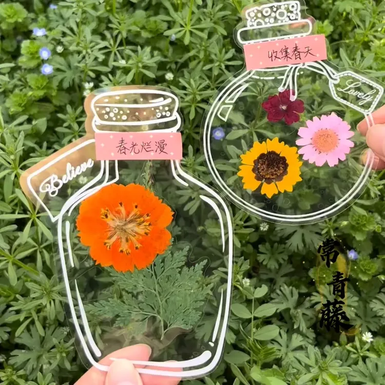 （大号）瓶子里的春天儿童树叶画手工DIY透明贴纸干花植物书签册商品图