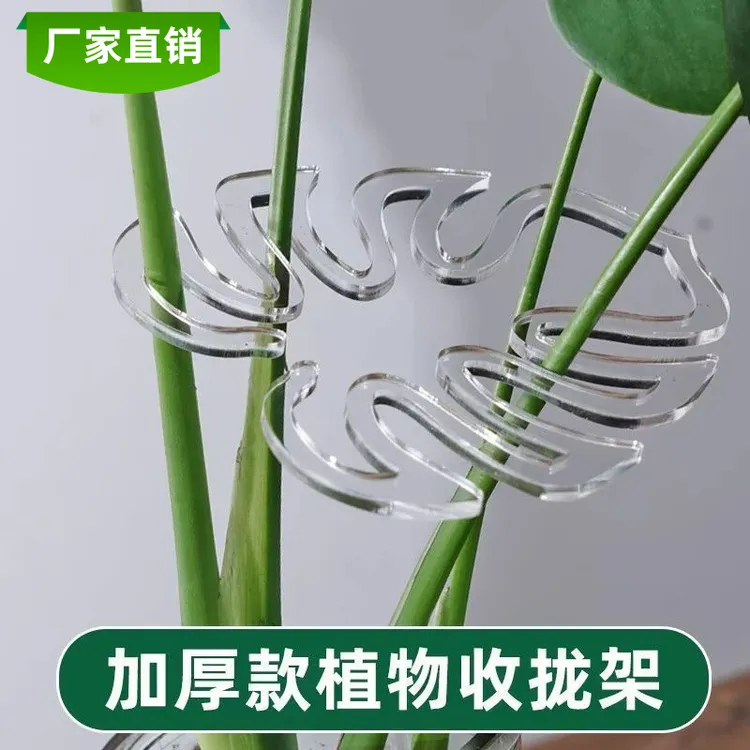 龟背竹支撑杆花支撑架枝干收拢架防倒伏支架种菜爬藤绿植固定花架