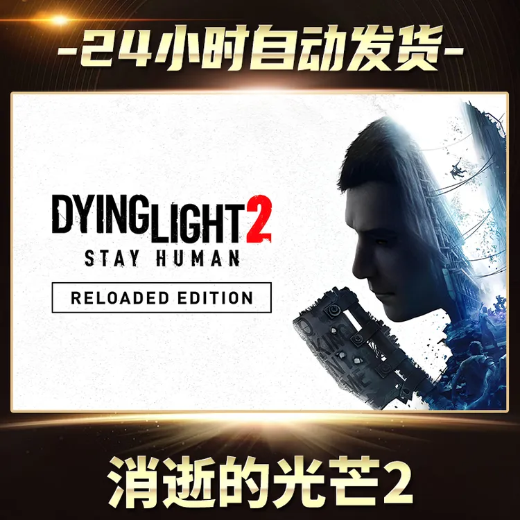 消逝的光芒2steam游戏cdkey激活码在线电脑单机游戏兑换码入库pc