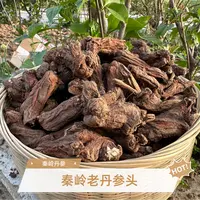 【助农代卖】现收秦岭深山老丹参头 中老年搭配川芎红藤=三通汤