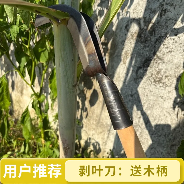 全钢甘蔗叶剥刀高效省力撕扒甘蔗老叶专用农用工具家用农用工具