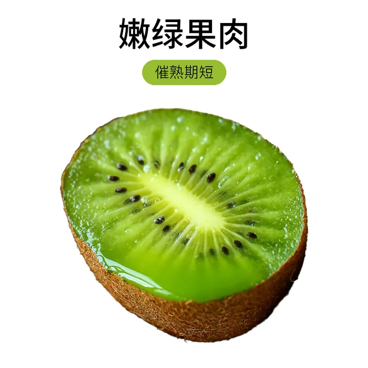 陕西周至翠香猕猴桃6枚装单果70g左右