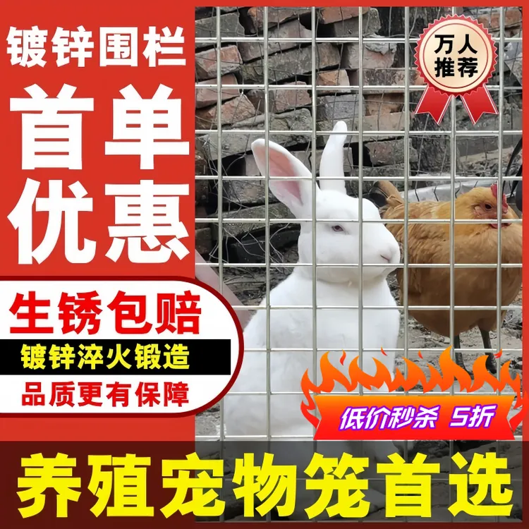 镀锌钢筋网片铁丝不锈钢焊接加粗防裂焊点牢固钢丝网家禽养殖定制