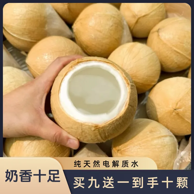 泰国进口丹嫩沙多牛奶椰皇椰子6/9颗双十一单果400-700g顺丰包邮